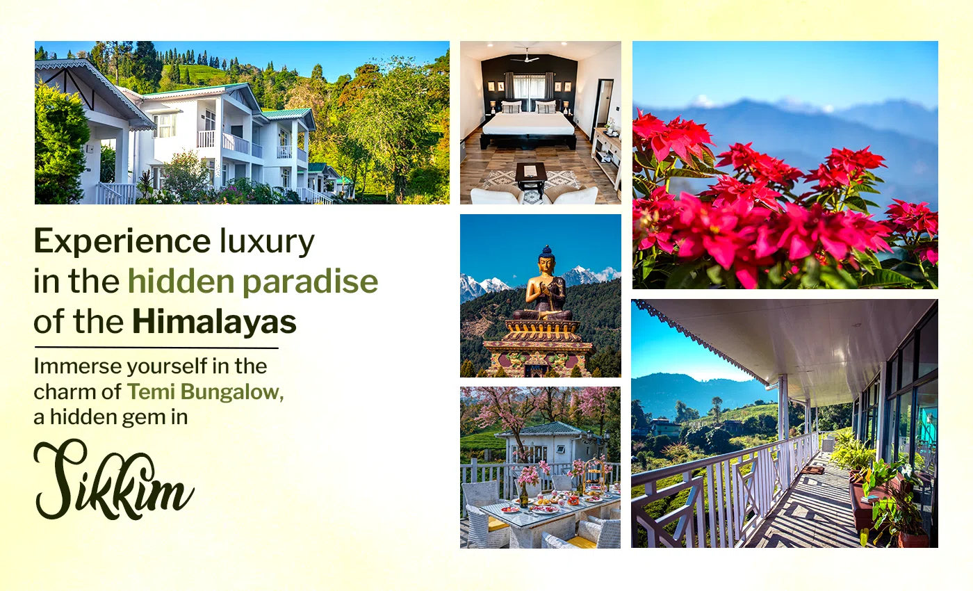 ecoadventureresorts